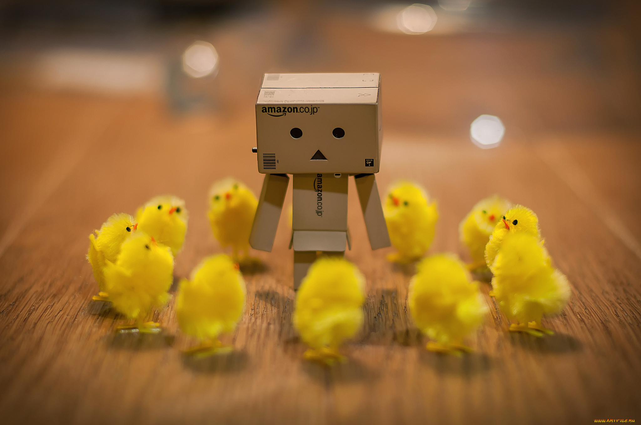 ,  , danboard, 